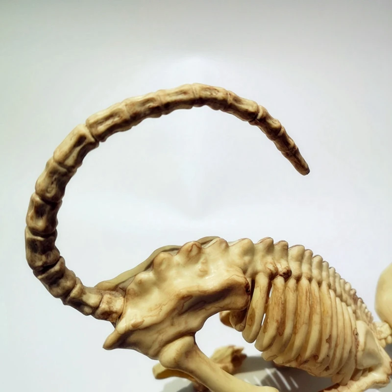 Decoración aterradora de Halloween, modelo de calavera de gato agachado, Animal espeluznante para truco de fiesta de vampiro-SPMI