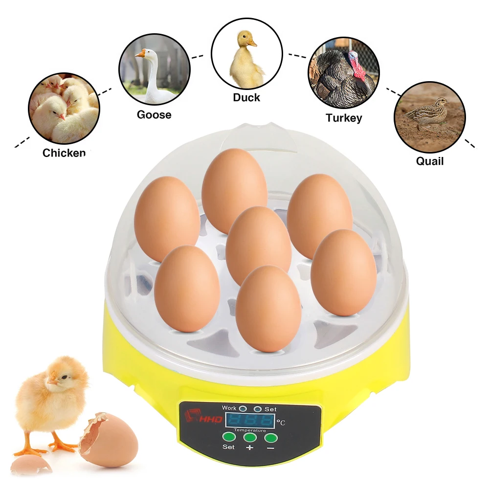 

Automatic Egg Incubator Brooder Poultry Incubator Intelligent Temperature Chicken Duck Bird Pigeon Hatchery Poultry Tool