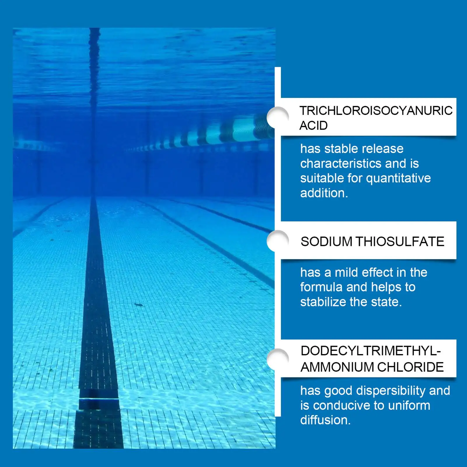 Picture 5: 100Ml Pool Clarifier Fast Dissolving Powerful Cleaner For Hotel Swimming Pool Cleaning Solution