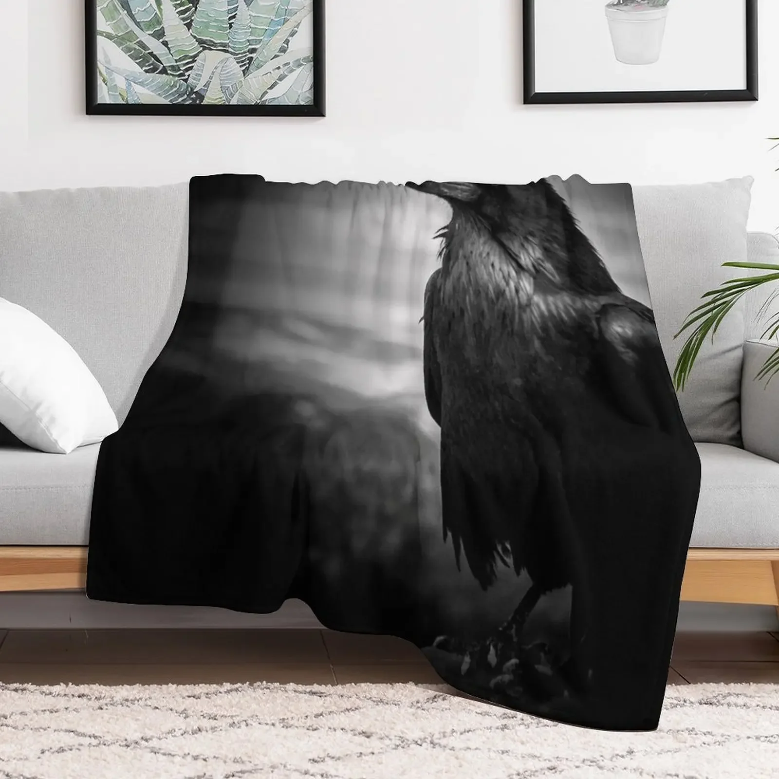 بطانية Poe's Folly Throw Blanket الفاخرة الأرائك المزخرفة بطانيات الرسوم المتحركة