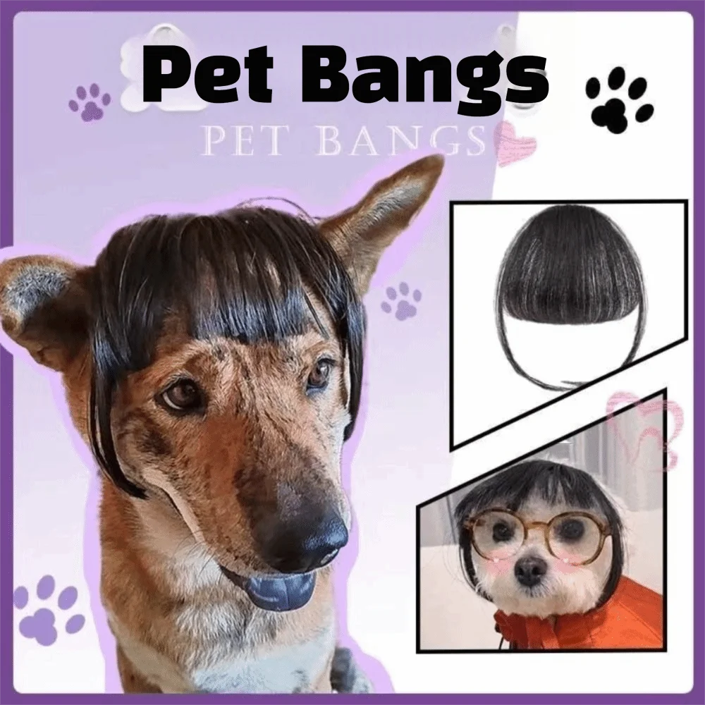 Funny Costume Fluffy Texture Pet Wig Afro Fringe Wavy Hair Cat Wig Comfortable Wear Adjustable Fit Dog Wig Photo Prop