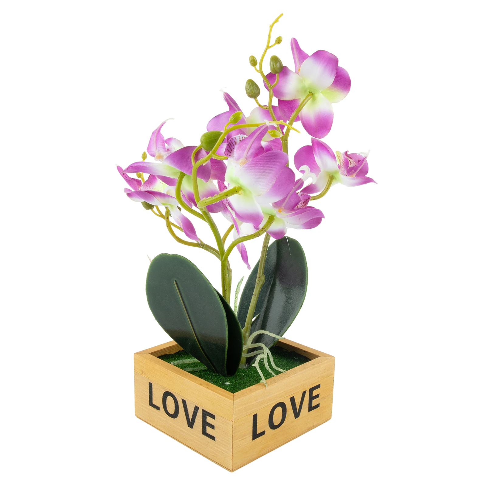 Evler için Masaüstü Süsleri, Y - Bonsai Garden And Cafe incelemesi ve fiyatı