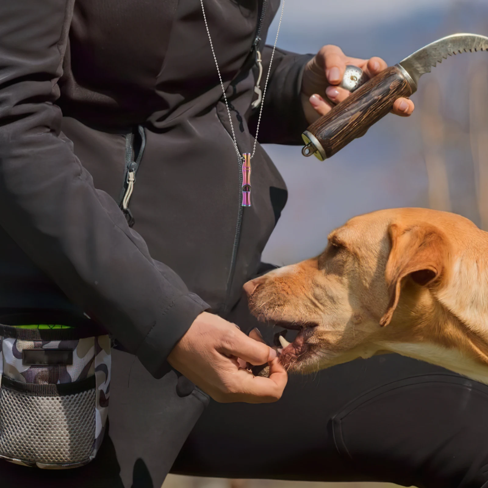 

Professional Metal Training Whistle for Dogs Stainless Steel Portable Whistle for Pet Bark Control Outdoor Sports Emergency