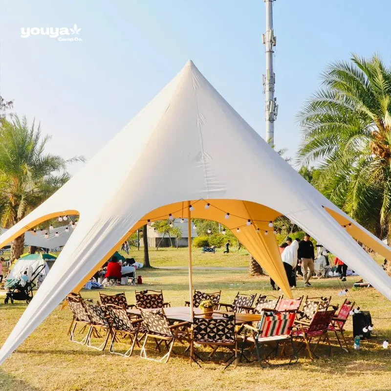 Рисунок 5 - Большая палатка с изображением паука и звезды