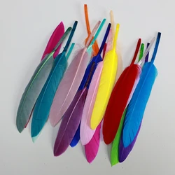 50PCS 10-15CM small Goose Feather Mixed Color Feathers For Crafts DIY Dreamcatcher Handmade Jewelry Garment Accessories