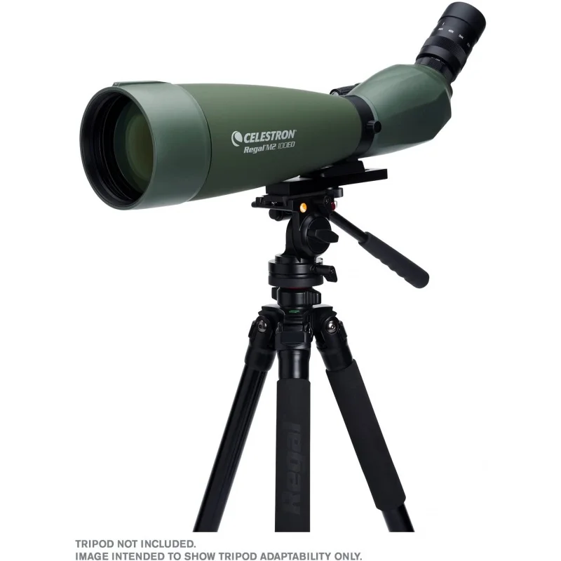 

Celestron Regal M2 65ED 80ED 100ED Fully MultiCoated Optics ED Objective Lens for Bird Watching Hunting 2267x Zoom Lens