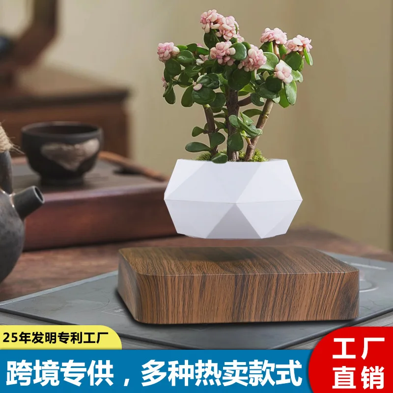الأمازون ماجليف بوعاء النبات الإبداعية بونساي DIY اناء للزهور علقت الهواء بوعاء النبات مصدر التجارة الخارجية زخرفة بالجملة