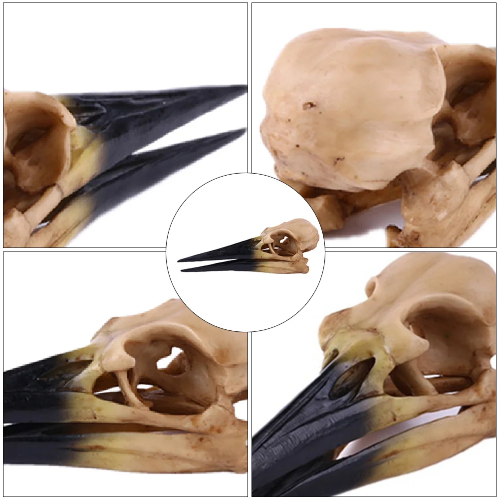 

1Pcs Resin Skull Shaped Adornment Stylish Household Ornament Creative Decorative Skull Artware Perfect for Halloween