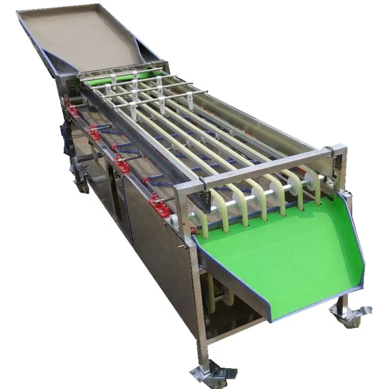 2T/H High Efficiency Fruit Selecting Equipment Fully Automatic Almond Blueberry Guava Grading Machine