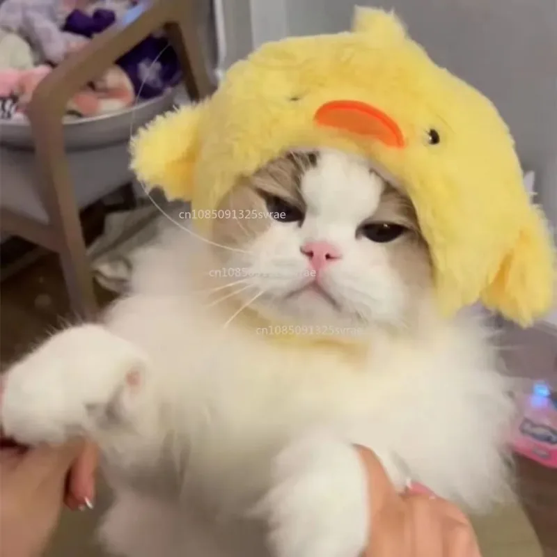 

Cute Refined Cat Hat Plush Elastic Winter Pet Hat Puppy Kittens Knitted Hat Party Cosplay Props Decoration Cat Accessories Pet
