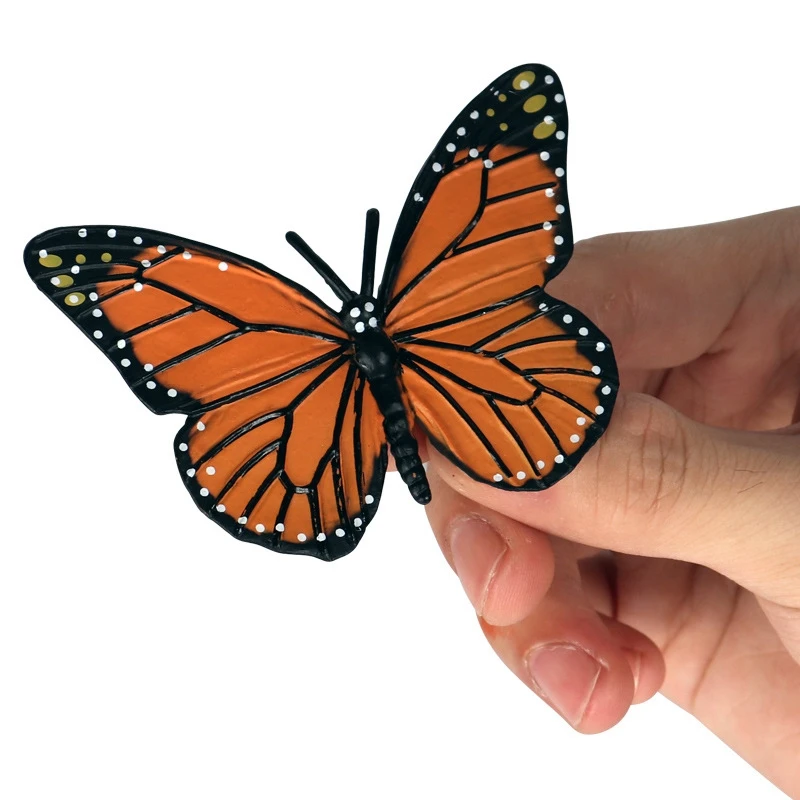 Simulation Life Cycle Figurine of a Butterfly Growth Cycle Insect Animals Educational Biology Science