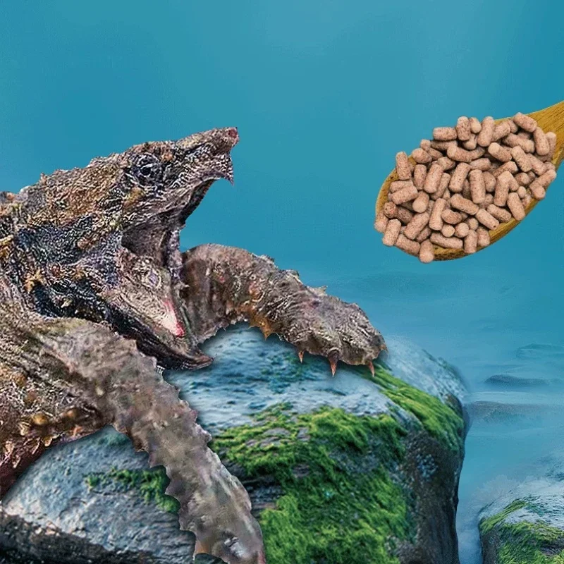Yee Premium Snapping Turtle Starter - 50% بروتين مع سمكة كاملة - يسرع نمو العظام - لتمساح الطفل وفلوريدا سنابرز #6