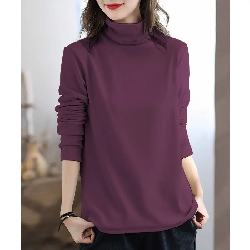 

Double-sided German Velvet High Collar Bottoming Autumn and Winter New Loose Casual Slim Long-sleeved Inner Top