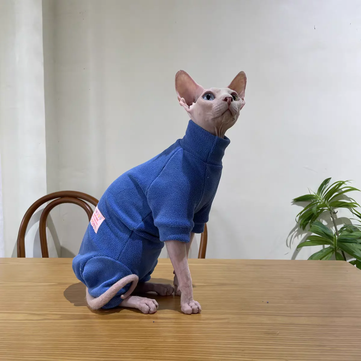 Fleece-Mantel für Sphynx-Katzen, warmer Sweatshirt, 4-beiniger Overall für Kätzchen und Hunde, weiche Freizeitkleidung für männliche Katzen, Devon Rex-Pullover. – Detail 12
