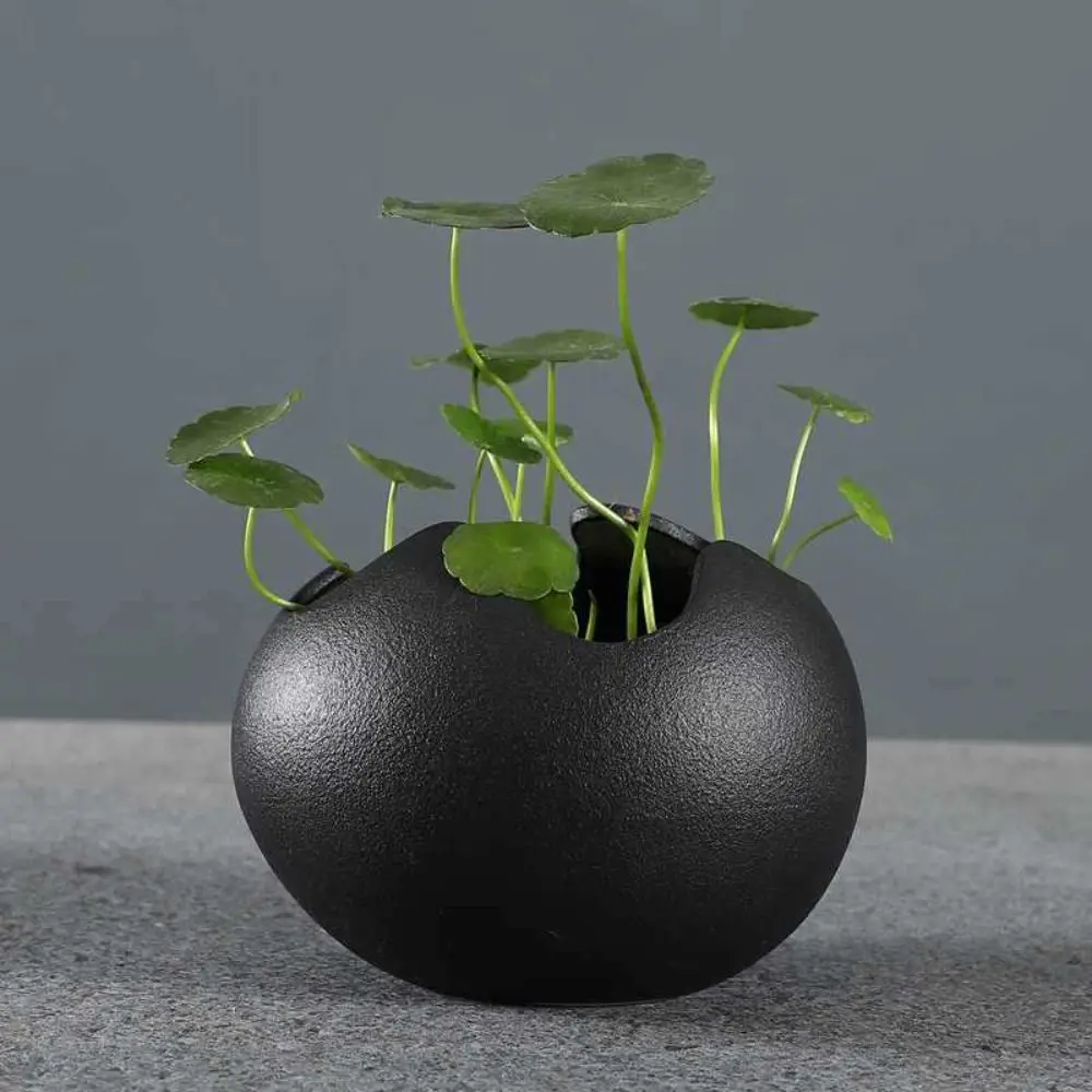 Creative Ceramic Flowerpot Broken Eggshells Shapes Decorative Green Planter Succulent Plant Container Garden