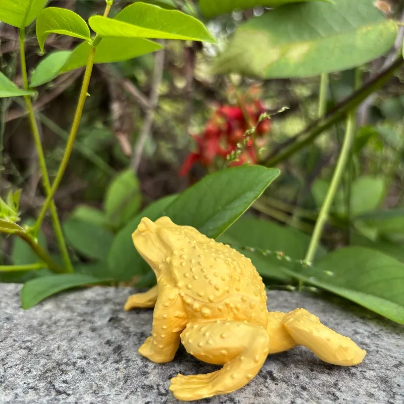 Hand-Carved Boxwood Wealth Toad - 3.3
