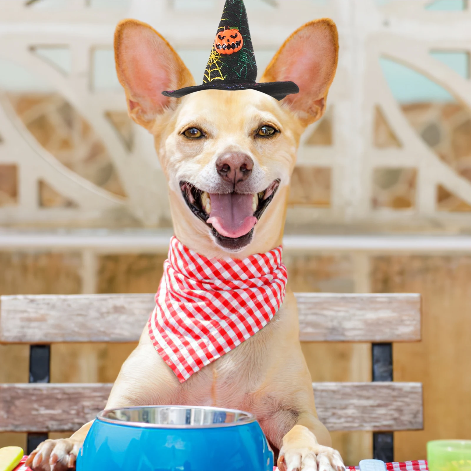 

2 Pcs Cats Pet Hat Hats Halloween Dog Costume Witch Cloth Party Supplies Costumes