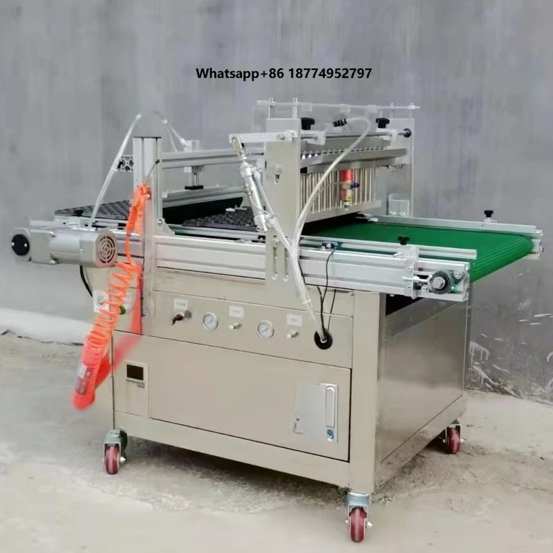 New Product High Precison2.2W Machine Semi-automatic Planter  for  Agricultural 220V Seed Cultivation Machine for Horticulture
