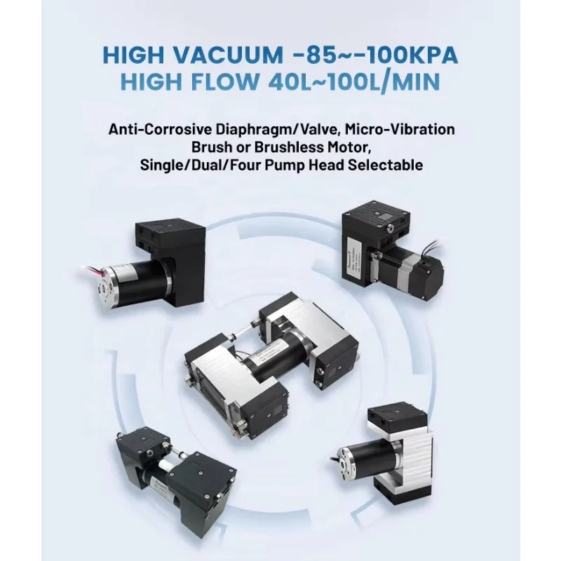 12V 24V Personalizzato Mini Doppio Diaframma Pompa di Aria Portatile Laboratorio Resistente Alla Corrosione Piccolo Olio Silenzioso Meno Pompa di Vuoto