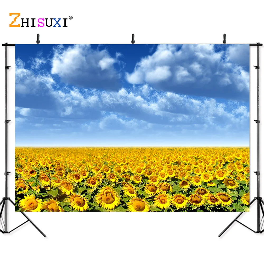 Phong Cảnh Thiên Nhiên Nền Chụp Ảnh Rừng Lúa Mì Lĩnh Vực Cảnh Quan Du Lịch Hình Phông Nền Phòng Thu Đạo Cụ 21512 ZRFJ-05