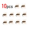 10pcs