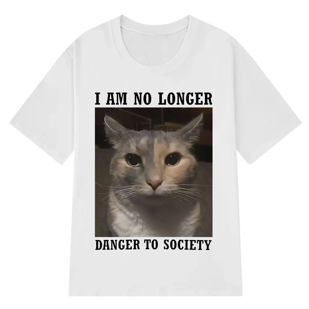 Eu não sou mais perigo para a sociedade engraçado gato meme camiseta feminina moda manga curta camisetas verão t camisa novidade topos japonês