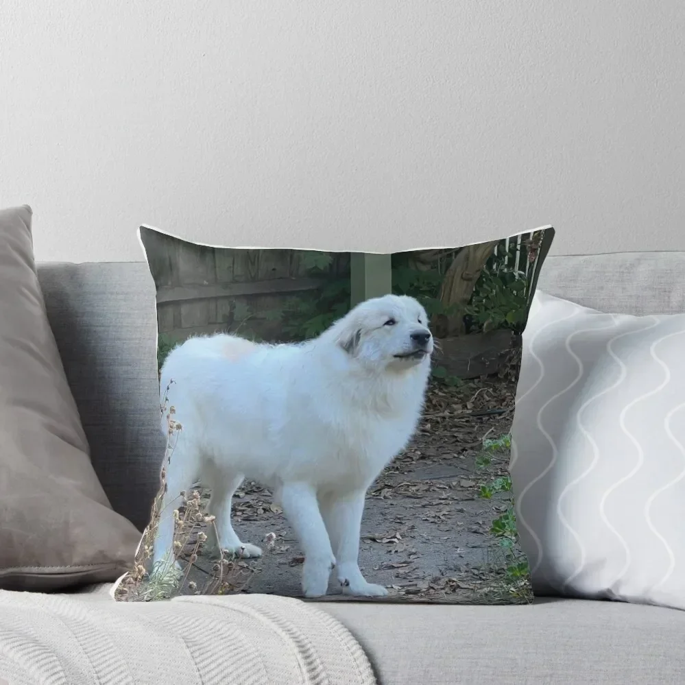 

Putting right paw forward Throw Pillow luxury sofa pillows Pillow Case Christmas Christmas Pillows Plaid Sofa pillow