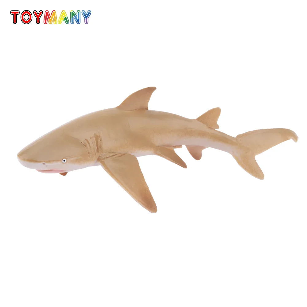 Toymany Simulation Zitrone Hai Ozean Tier Modell Spielzeug Mini Figuren Puppen Action Figuren Spielzeug für Kinder Geschenk
