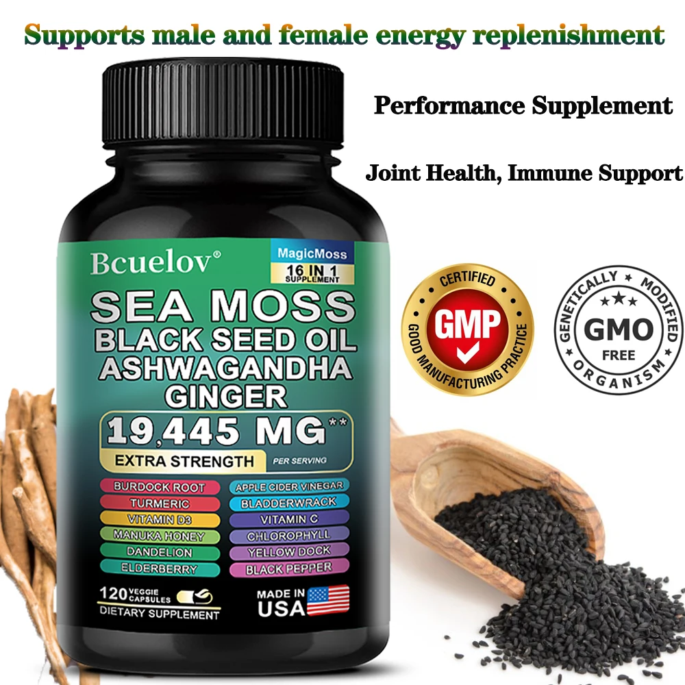 Seaweed Black Seed Oil Ashwagandha Ginger, 120 Capsules - 19.445 mg, Support Seaweed Black Seed Oil Ashwagandha Ginger Capsules