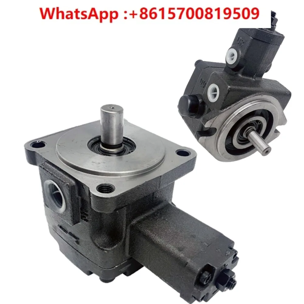 Vane pump hydraulic station pump head VP-20-FA3 vane hydraulic oil pump assembly VP-30/40-FA accessories Daquan