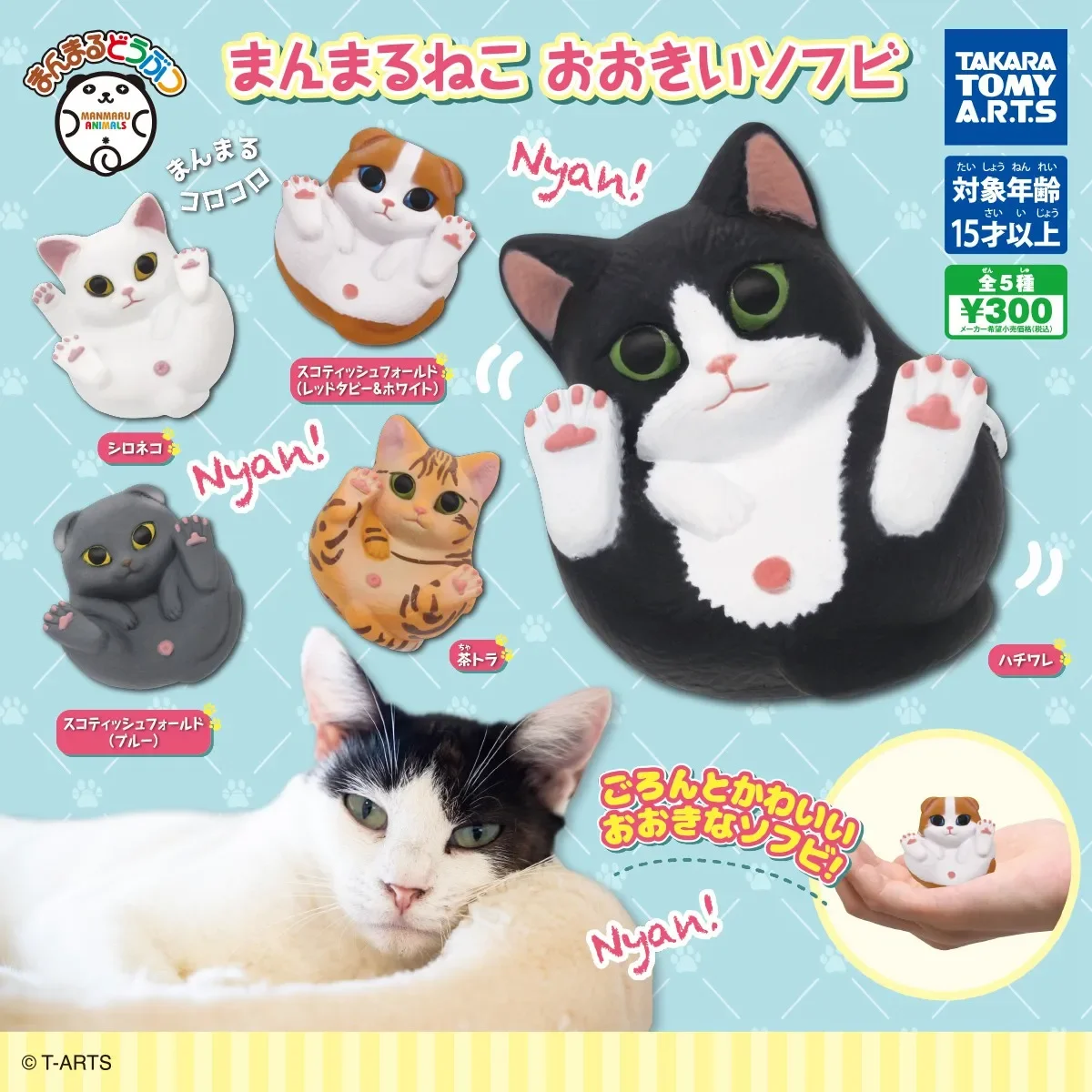 

Японская Подлинная модель Gacha в масштабе, круглая оранжевая кошка, Табби, кошка, корова, черная синяя кошка, милая подвеска, фигурка, игрушки
