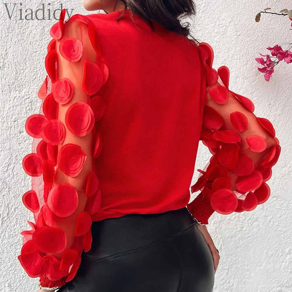 

Women's Round Neck Long Sleeve Sheer Mesh Shirred Shirt Blouse