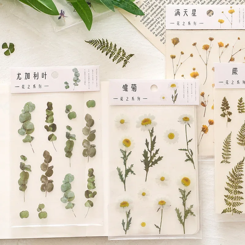 Floral Stickers Natural Daisy Clover Fresh INS Transparent PET Material Flowers Leaves Plants Scrapbooking DIY Decor Stickers