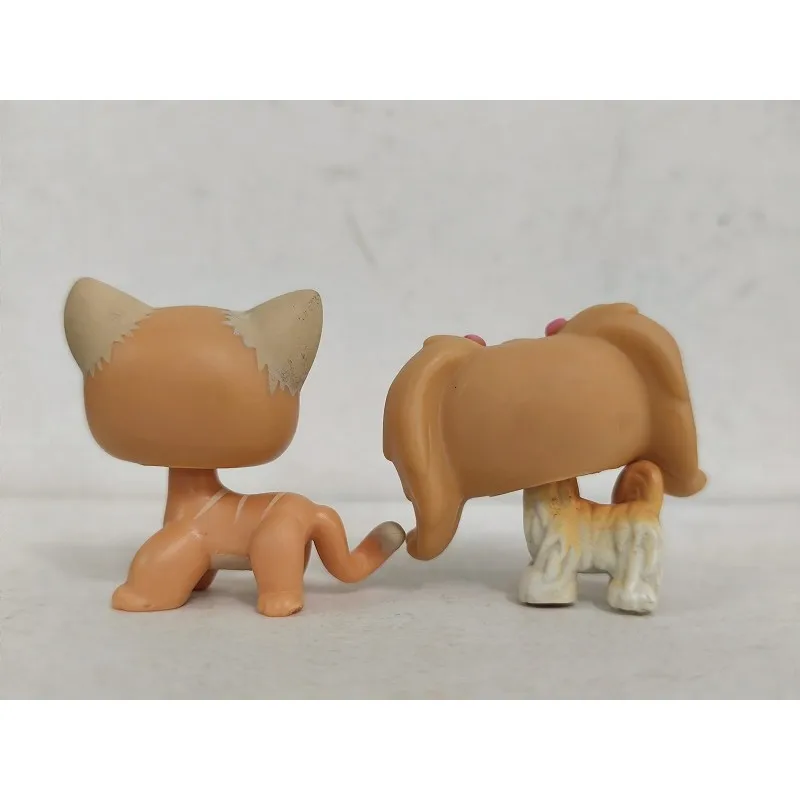 2 pz/lotto LPS Figura Gatto Cane # 790 # 79 W/Accessori Giocattolo Littlest Pet Shop