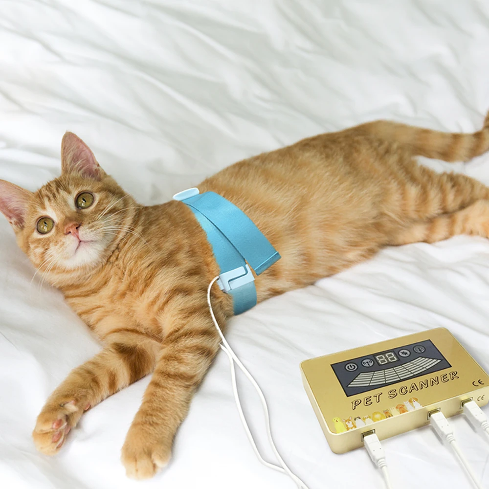 Pet Cat /Dog Scanner Quantum Body Composition Analyzer Animal Health Diagnosis Device Quantum Analyzer