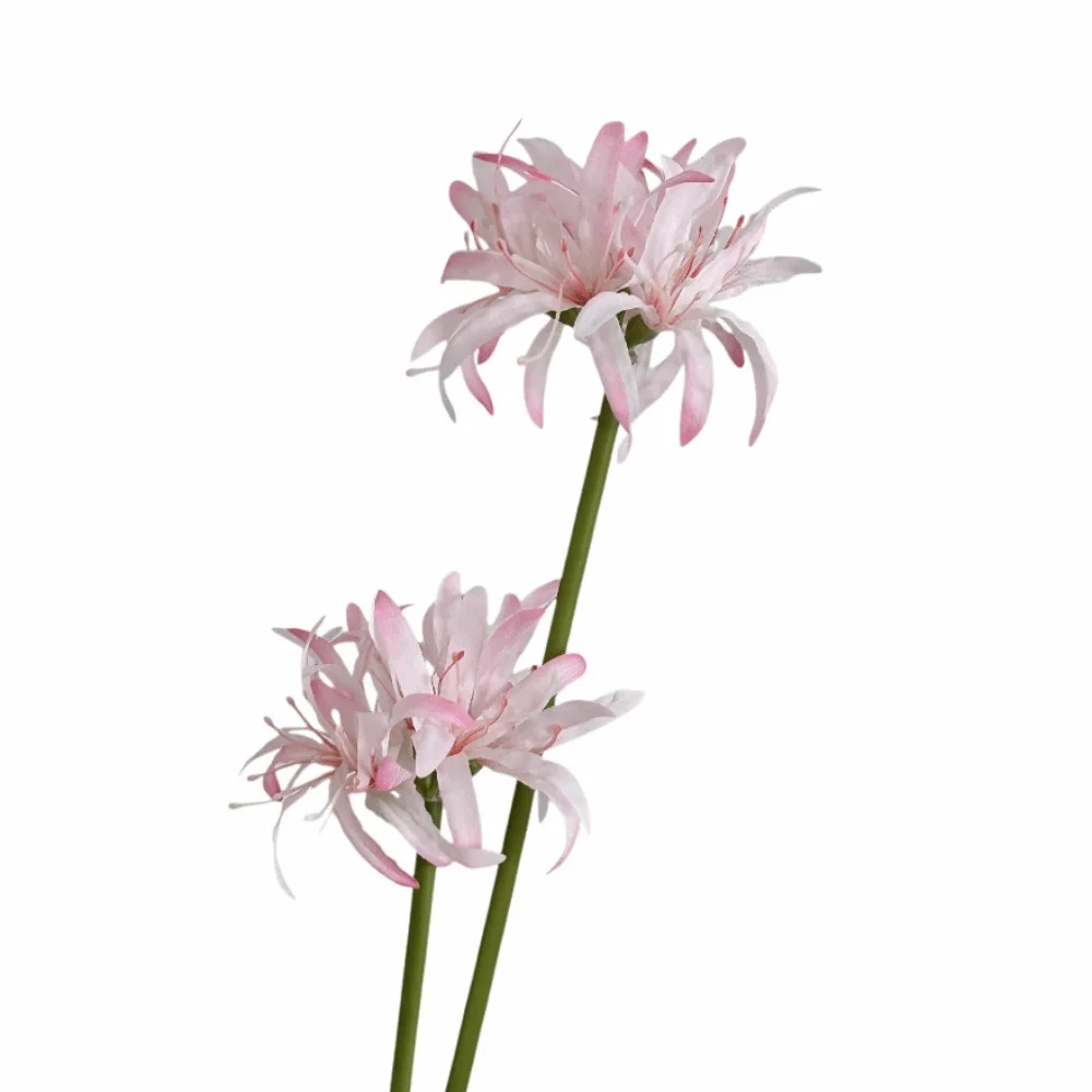 

2 Heads Artificial Higanbana Flower Real Touch Realistic Simulation Lycoris Flower 50cm Length Faux Flowers