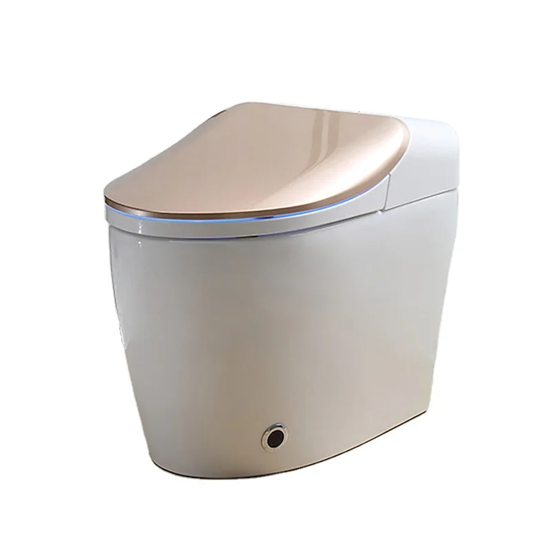 

ZC1 Modern Smart Toilet with Bidet Built in Elegant Toilet with Drying Warm Water Clear Auto Flush