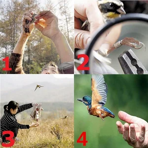 أفضل 7 فخ مبيعات لصيد الطيور - رقم 8