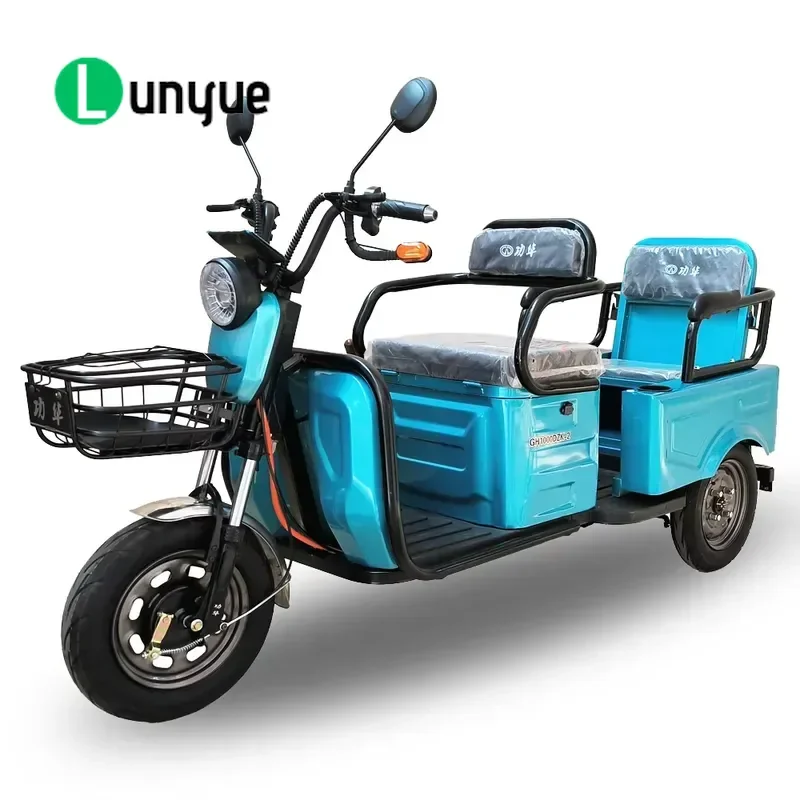 650W Electric Tricycle for Adults Steel Frame with Down Tube Battery Three Wheel Passenger E Trike Affordable Price