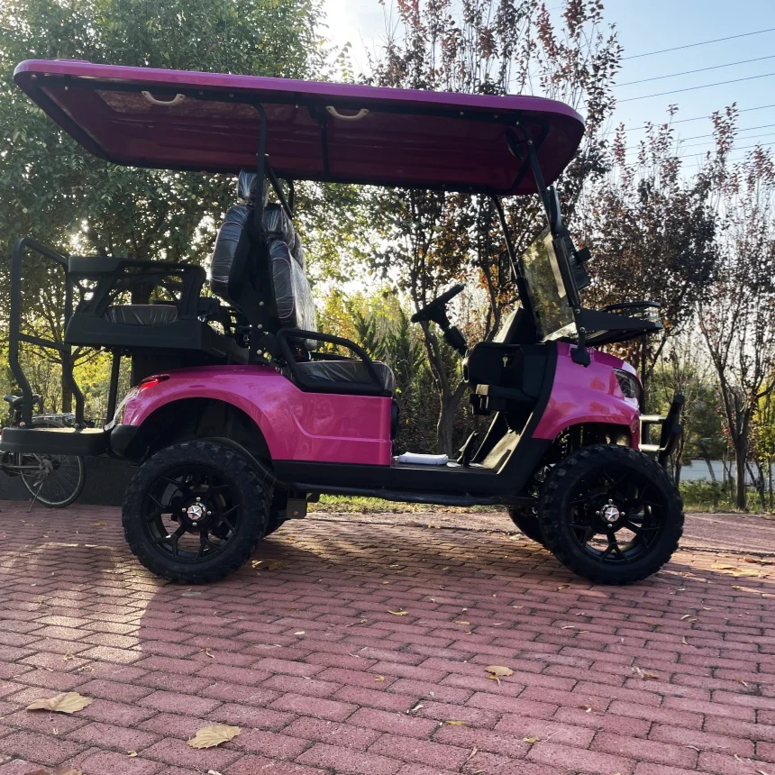 Electric Golf Cart Achieve Smooth Ride Electric Car With Off-Road Tires Upholstered Seat Front Bumper Model E 4+2 Seat Golf Cart