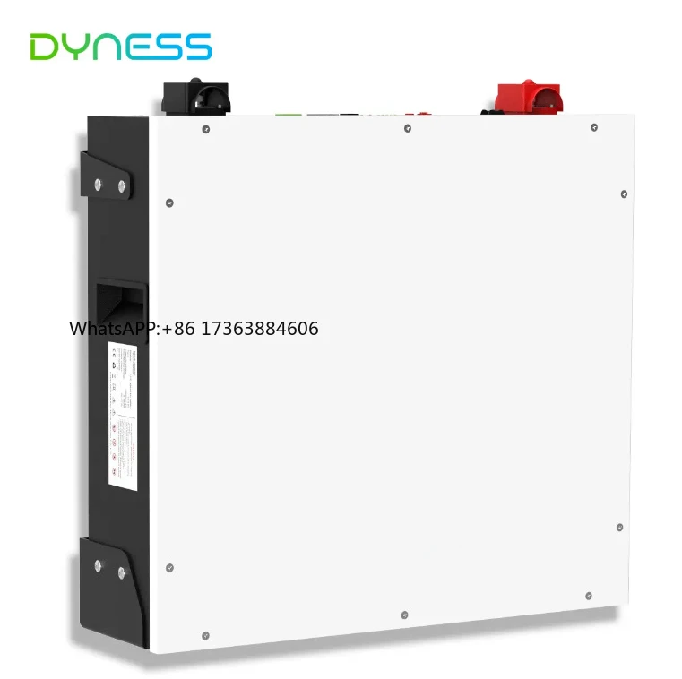 

2026 hot sellingDyness Hot Sale DL5.0C 5kwh Wall Mounted Powerwall Lithium Batteries 51.2V 100Ah 5kwh LifePO4 Battery