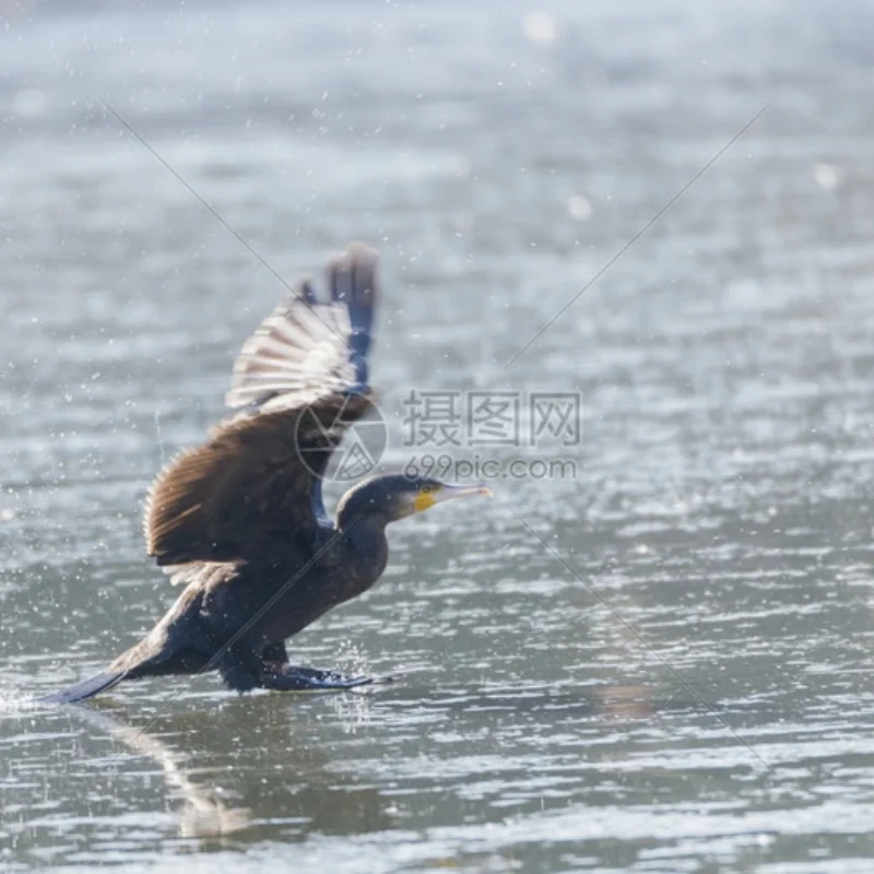 4mm Flexibele As Strut Flex-Kabel Stinger Beugel Houder voor RC Boot Speedboot Ovale VEE MONO hydroplane