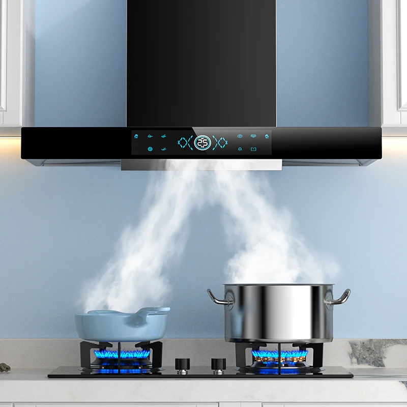 220V Haipai Goodwif… - image