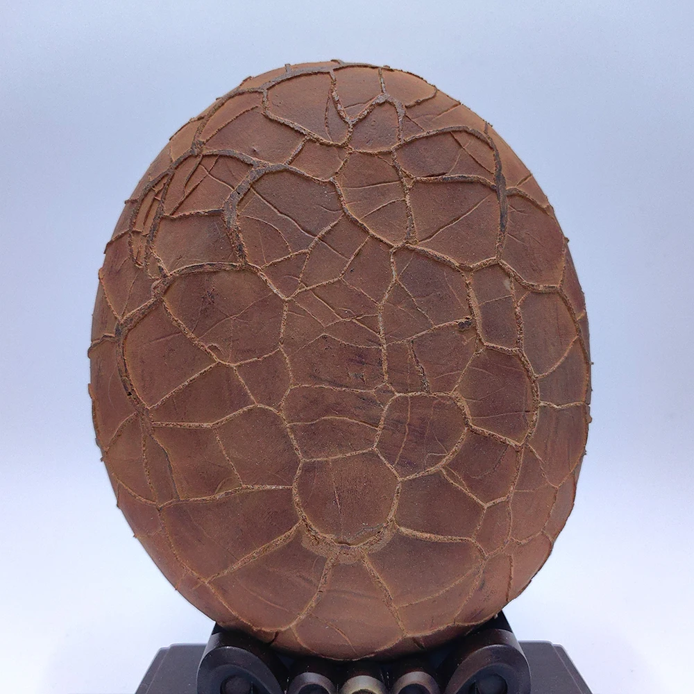 Asian Reiki Rough Natural Stone Decorative Artwork for Home Room Men's Gift - Symbolism Stone Decoration