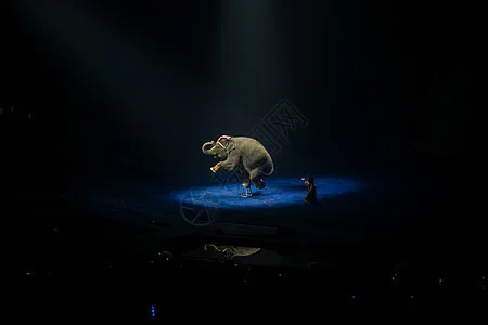 

Бесщеточный двигатель 3650 3300KV для радиоуправляемых моделей 1/10: дрифт, туринг, монстр-трак, багги, SCT, универсальные запчасти для тюнинга