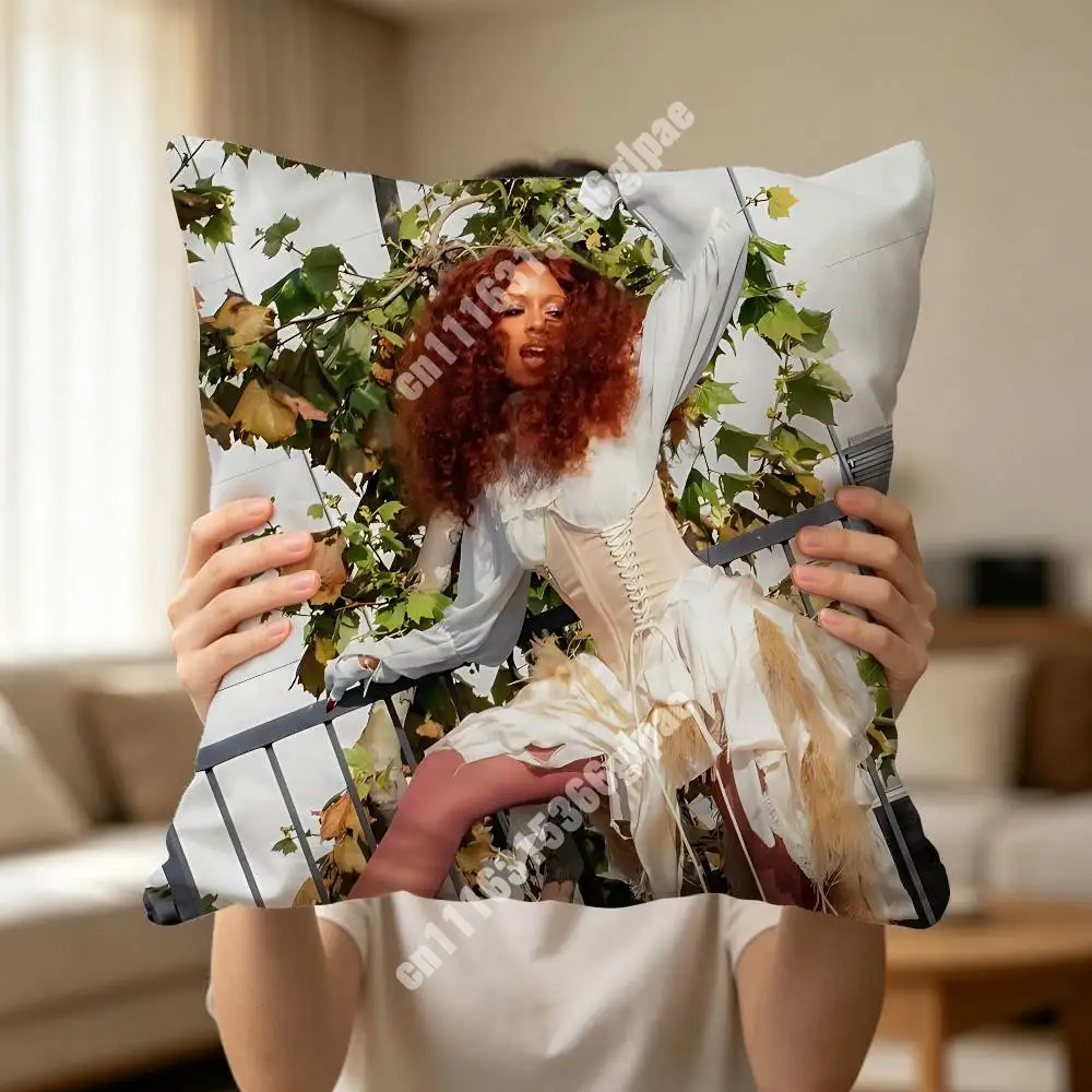 R-Ravyn L-Lenae Bird's Eye Blue Island Printed Pillow Cover Sofa Couch Bedroom Cinema Home Theater Decoration