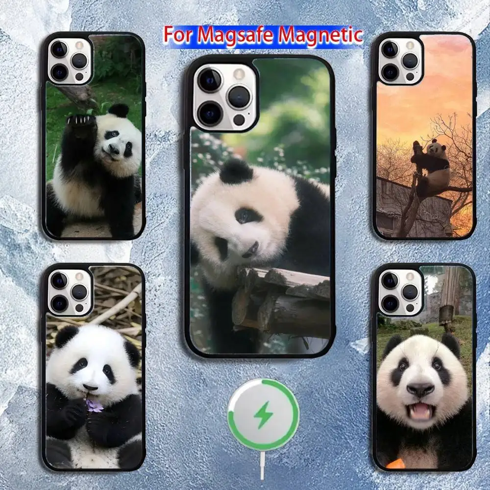 

Cute F-Fubao Animal Panda Phone Case For iPhone 16,15,14,13,12,11,Pro,Max,Plus,Mini,Magsafe,Magnetic Wireless Charging Case