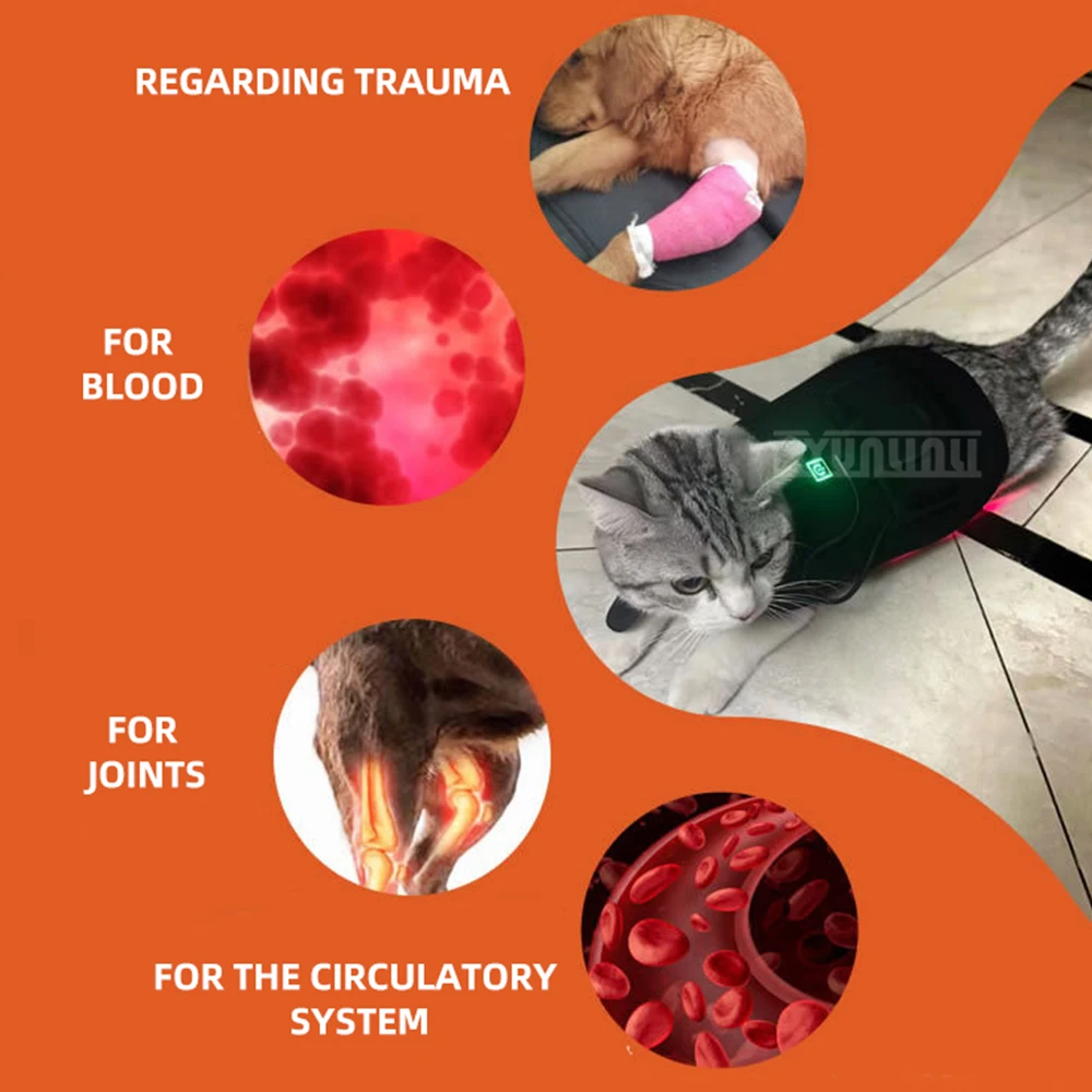 

LED Portable Pet Red Light Physiotherapy Device for Dogs And Cats with Back Support