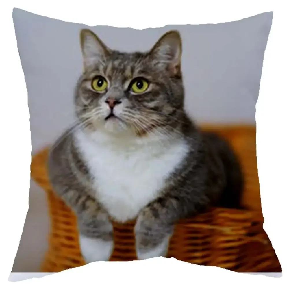 Cute little lazy cat living room sofa decoration cushion cover square pillowcase