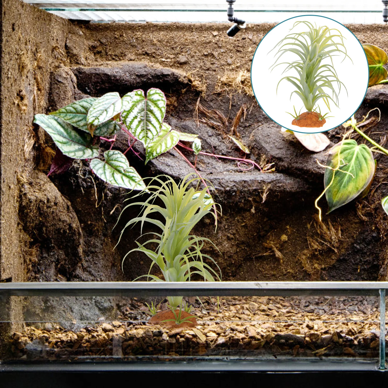 

Decorative Plants Reptile Terrarium Lifelike Ornament Artificial Fish Tank Sturdy Base Vivid Color Landscape Design Pet Supplies